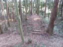 MinamiSakaidejou (11).JPG