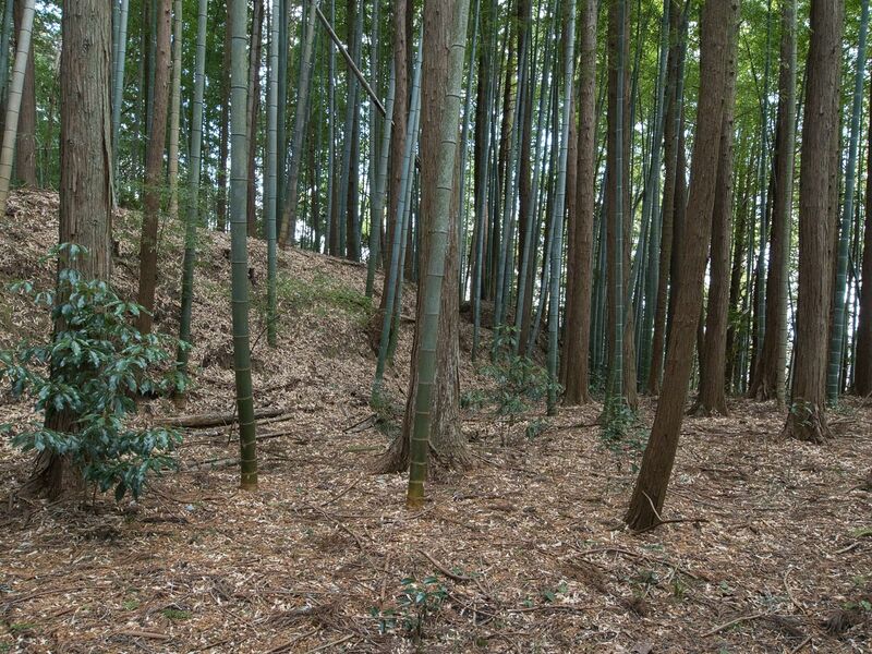 File:Mochizukishikoka27.jpg