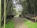 Nagaharajou (9).JPG