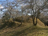 Ogawakoka9.jpg