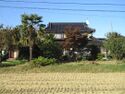 Ohtoujou (6).jpg