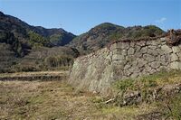 Ojima18.jpg
