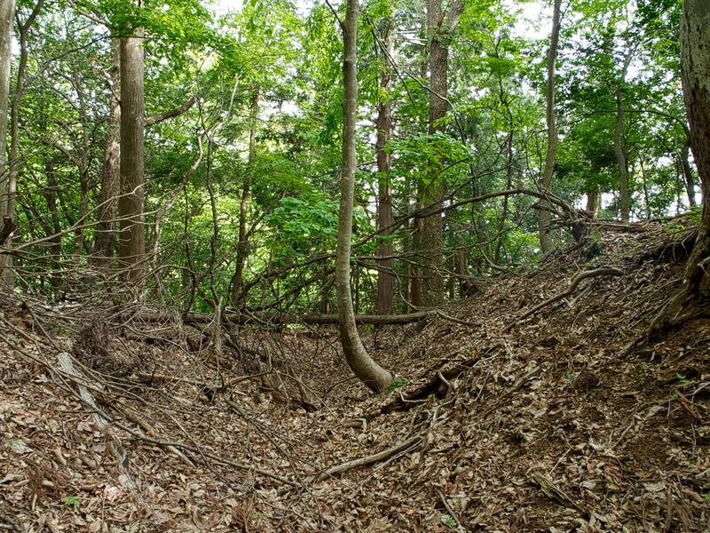 File:Shobudani8.jpg