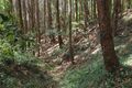 Thumbnail for version as of 08:42, 20 May 2018