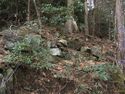 Tsubokasayama1.jpg