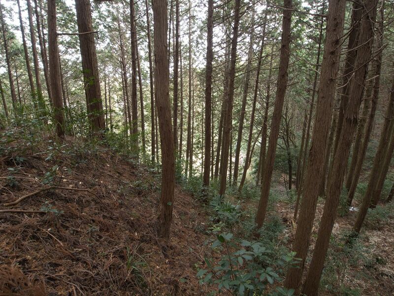 File:Wadakoka17.jpg