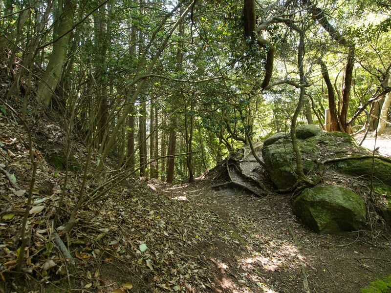 File:Yagitanba28.jpg