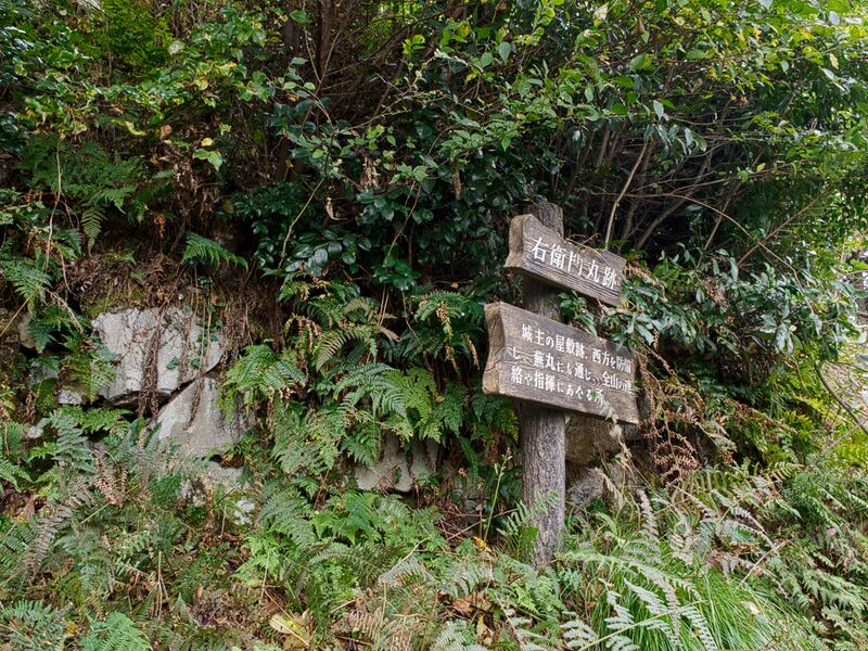 File:Yakamitanba20.jpg