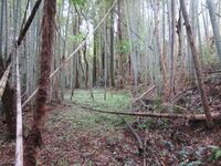 ChikuzenSakatajou (14).JPG