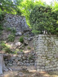 GaryuuzanjouA (42).jpg