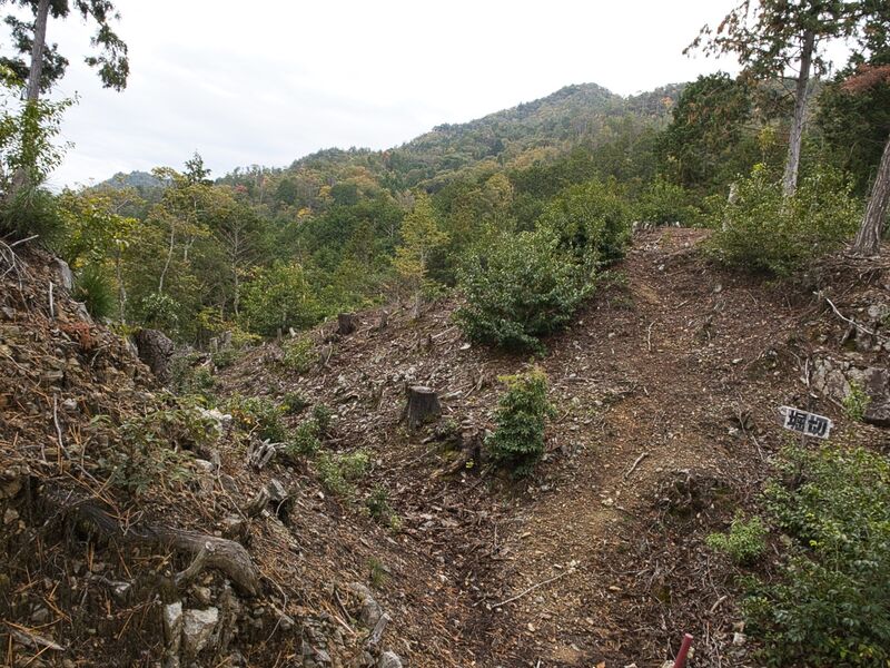 File:Habukyoto34.jpg