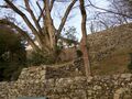 Hikone118.jpg