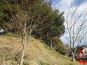 KaiAkiyamaYakata (3).JPG