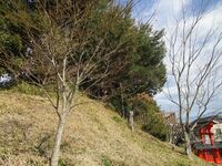 KaiAkiyamaYakata (3).JPG