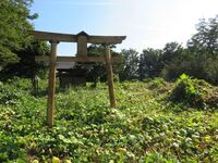 KitaKumai (56).JPG