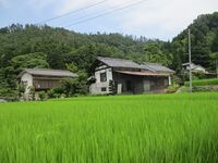 KoujiYakataART (7).JPG