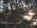 Thumbnail for version as of 13:32, 10 March 2025