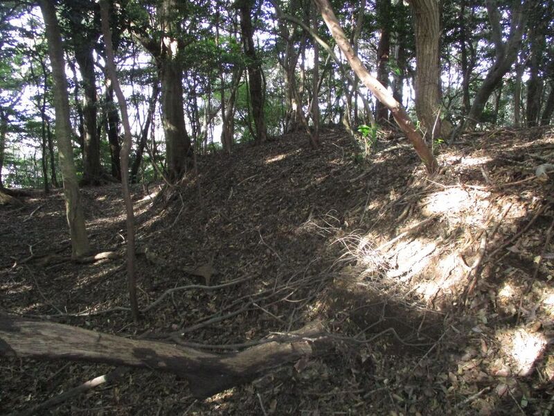 File:MikawaNoguchijou004.jpg