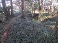 NukataChausuyamajou (16).jpg