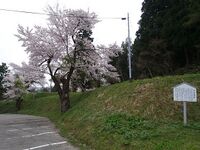 Shigiyama1.jpg