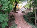 Thumbnail for version as of 13:32, 24 June 2017
