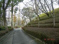 Yatsushiro2.jpg