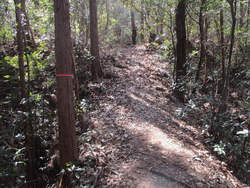 File:Daitajou (43).jpg