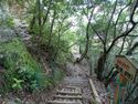 Gifu38.jpg