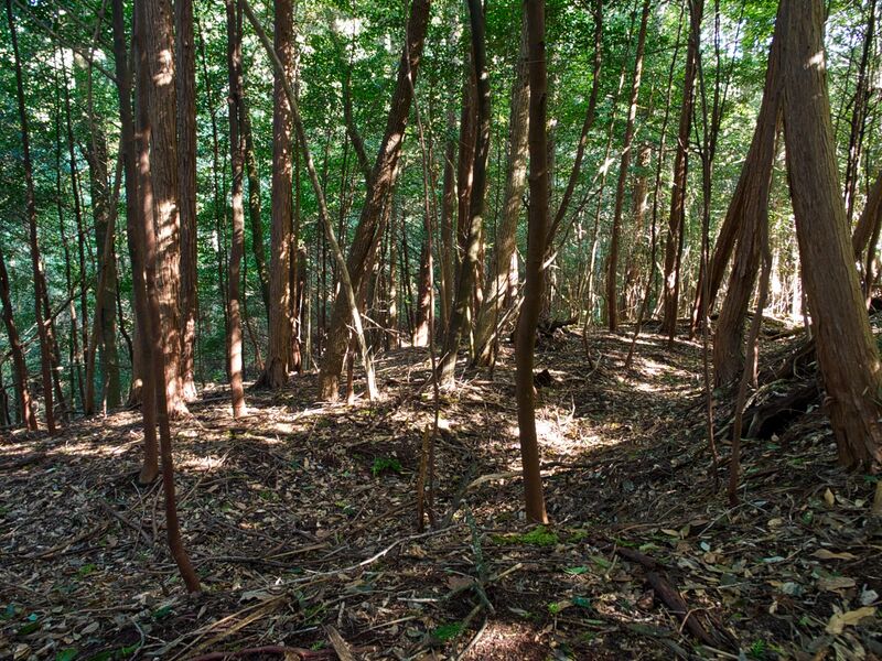 File:Idenmiyanokoshi3.jpg