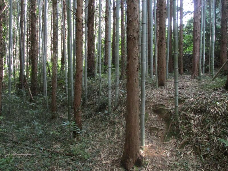 File:MikawaOhsawajou005.jpg