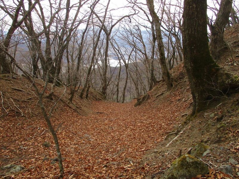 File:MisakajouC (25).jpg