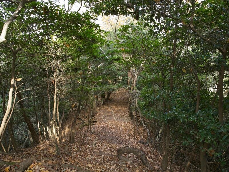 File:Nakaokyoto7.jpg
