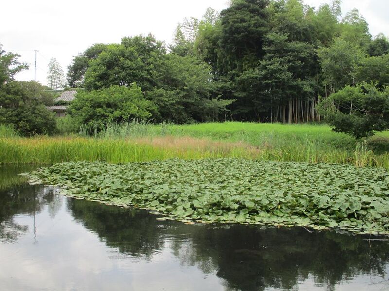 File:Sakazakikojou (2).jpg