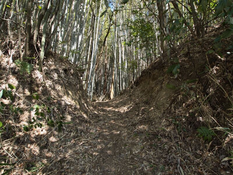 File:Shimoyamakita18.jpg