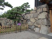 TakamatsujouSakuragomonC004.jpg