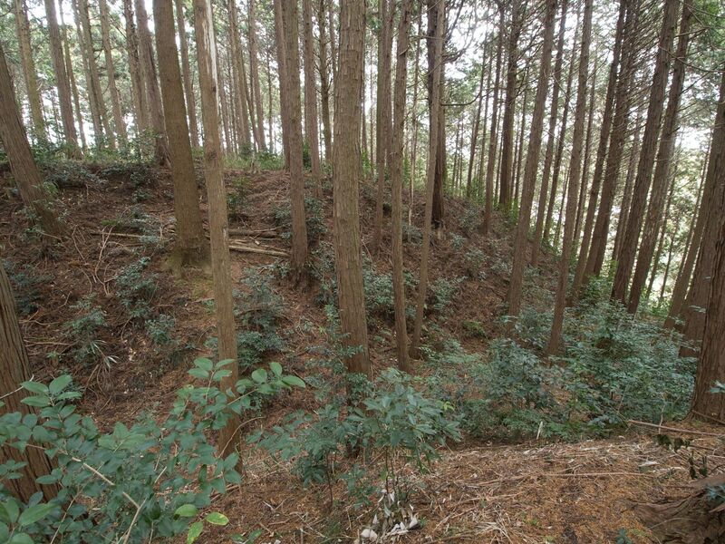 File:Wadakoka27.jpg
