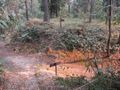 Thumbnail for version as of 14:35, 21 June 2025
