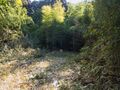 Thumbnail for version as of 13:22, 20 August 2022