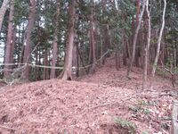 Iinawajou (6).JPG