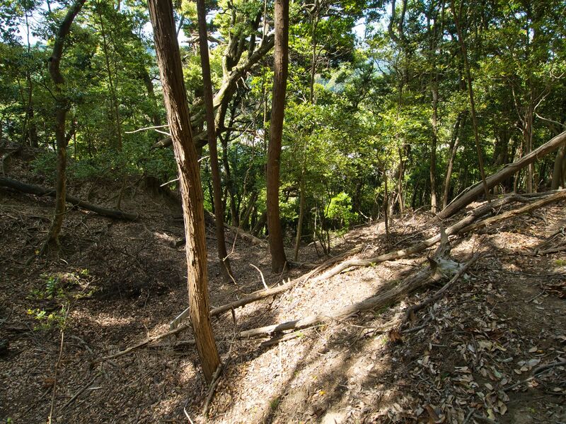 File:Kokururi18.jpg