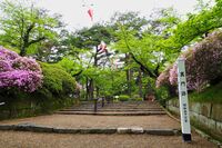 Kubota24.jpg