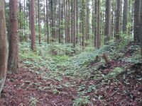 MinochiMikkajou (1).JPG