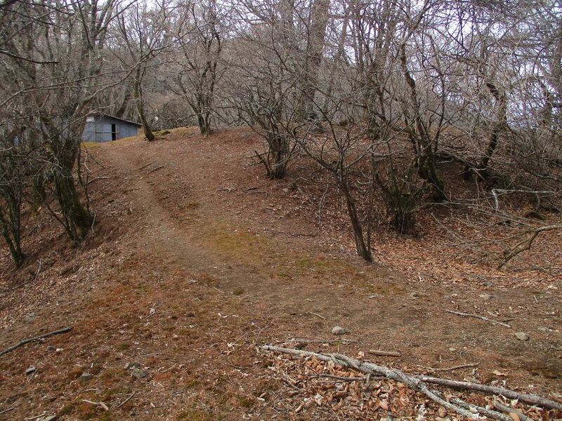 File:MisakajouB (10).jpg
