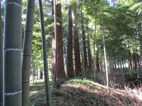 NanjouYakata (3).JPG