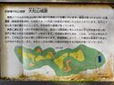 Ohmatsuyama1.jpg