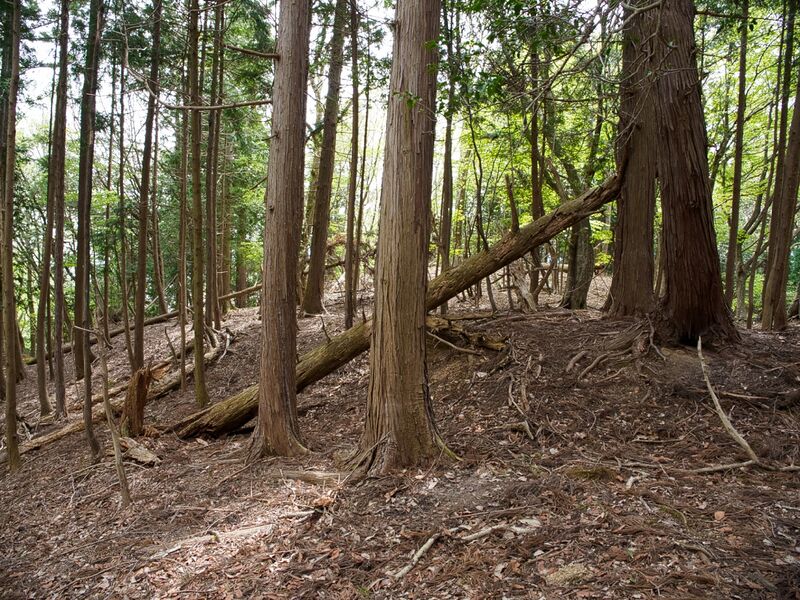 File:Shobudani22.jpg