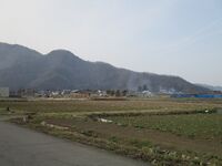 Haruyamaohjou (23).JPG