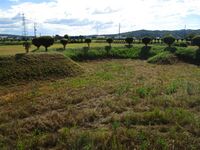 IkarashiYakata (4).JPG