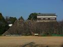 Kameyama3.jpg