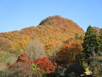 Karidaohjou (7).JPG